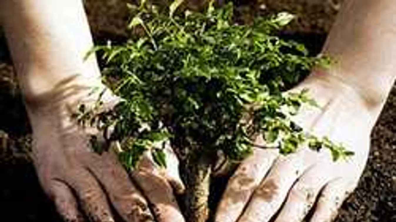 Hasznosnak bizonyulni mások számára - országhatárok nélkül