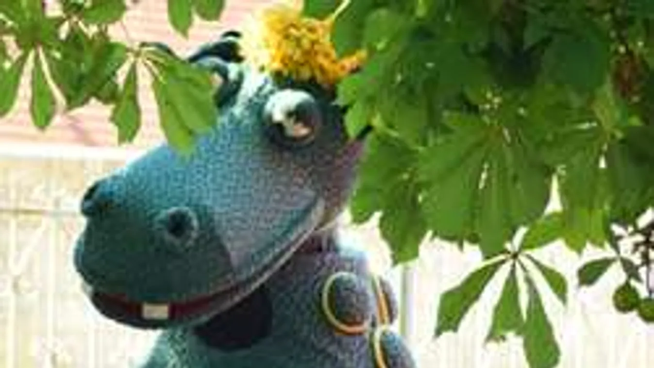 A HADART Színház Süsüje Tolcsván jótékonykodott