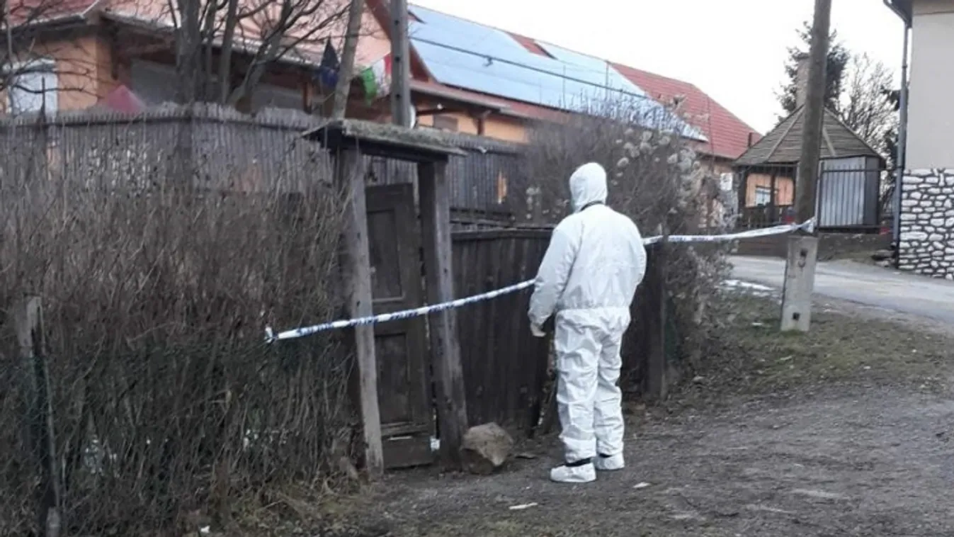 Letartóztatta a bíróság a sályi emberölés gyanúsítottját