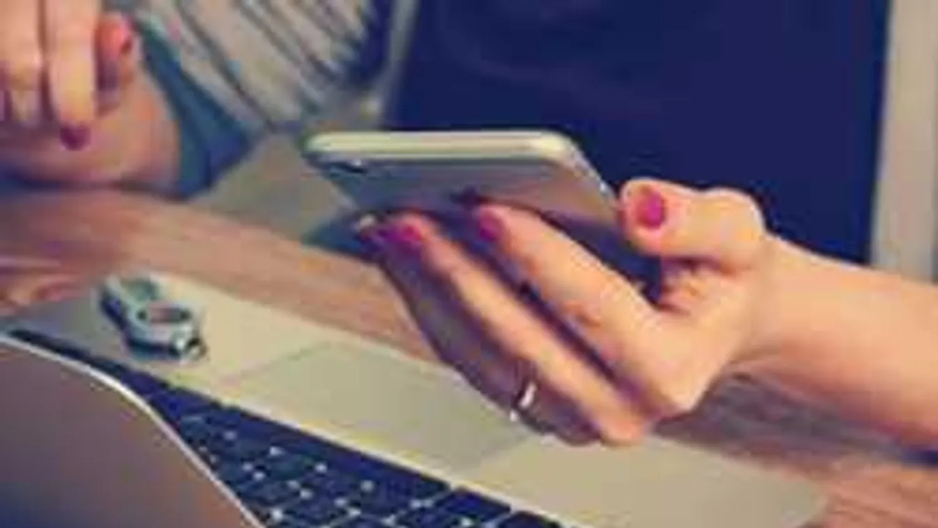 Óriási siker, több ezren vettek részt az állami állásbörzén