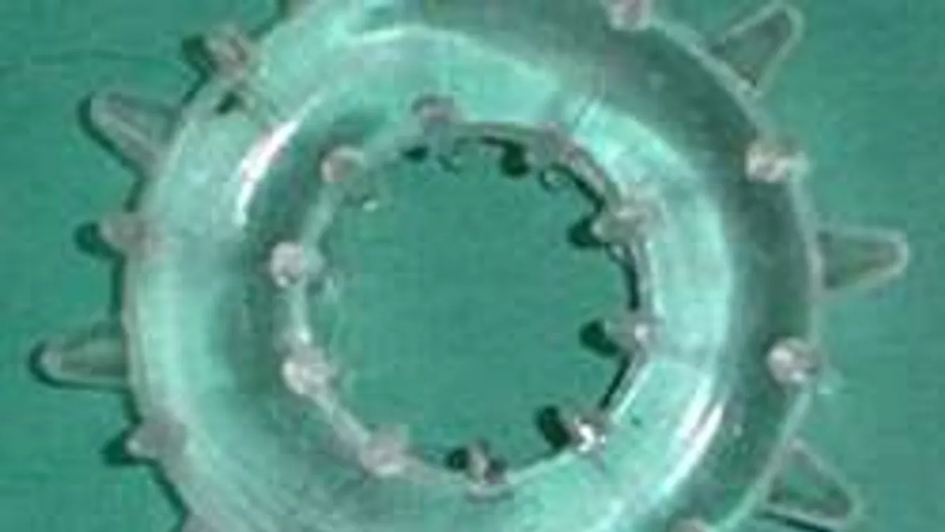 Szexuális segédeszköz okozott terrorpánikot