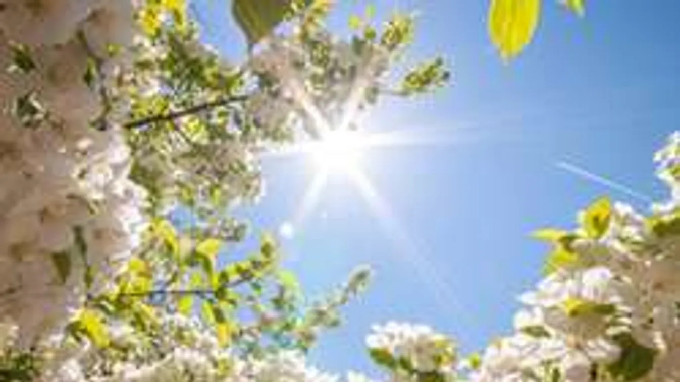 Nyár lesz ma délután, akár kisnadrágban is sétálhatunk! Melegrekord!