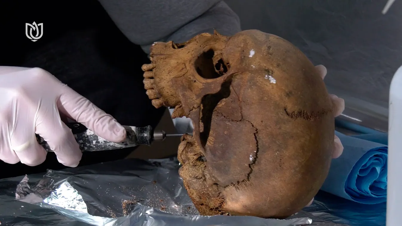 Méltó helyre kerülhetnek Mátyás király azonosított földi maradványai