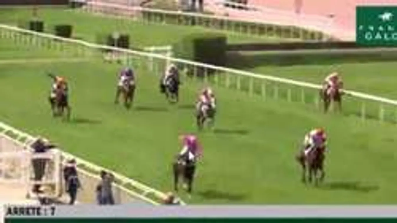 Horrorbaleset a lóversenypályán, nézők közé zuhant a ló! - videó
