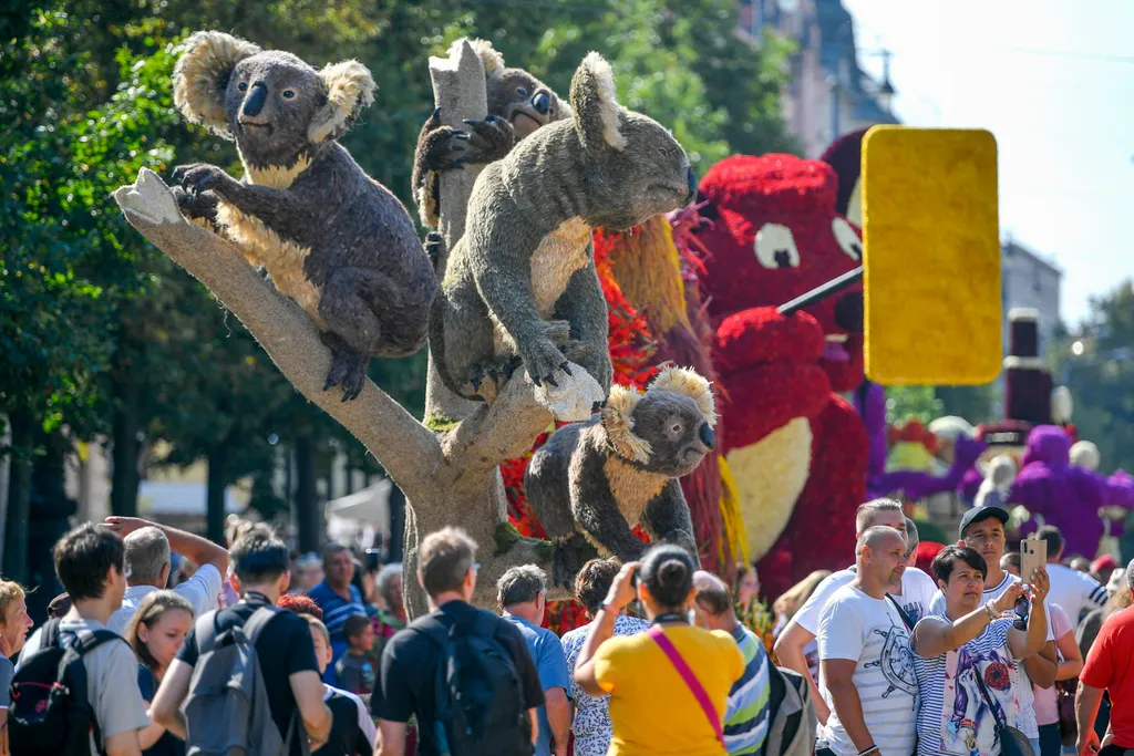Az AKSD hulladékgazdálkodási vállalat Felelõsséggel a mindennapokban nevû virágkocsija