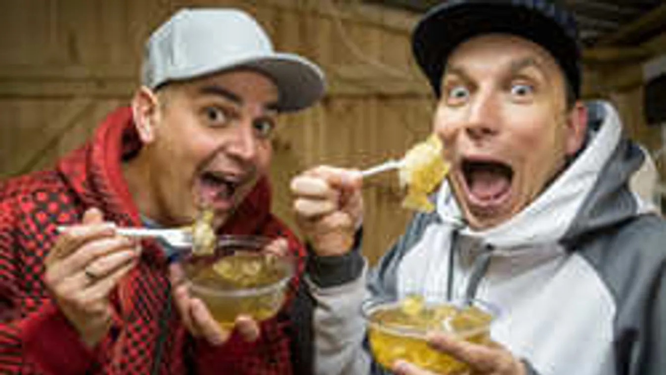 Nem nyelték le a békát az Animal Cannibals tagjai