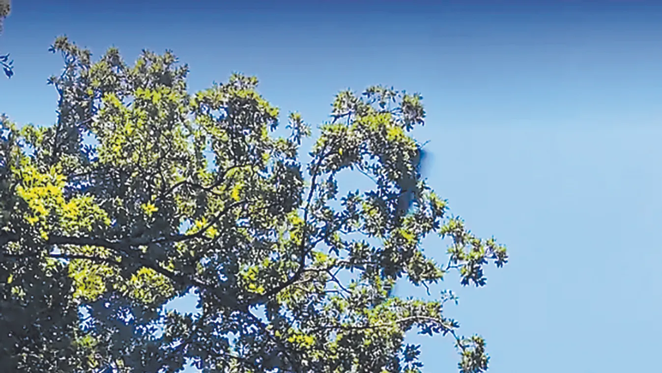 Három szívszorító baleset Magyarországon: tényleg csak ennyi kell a tragédiához?