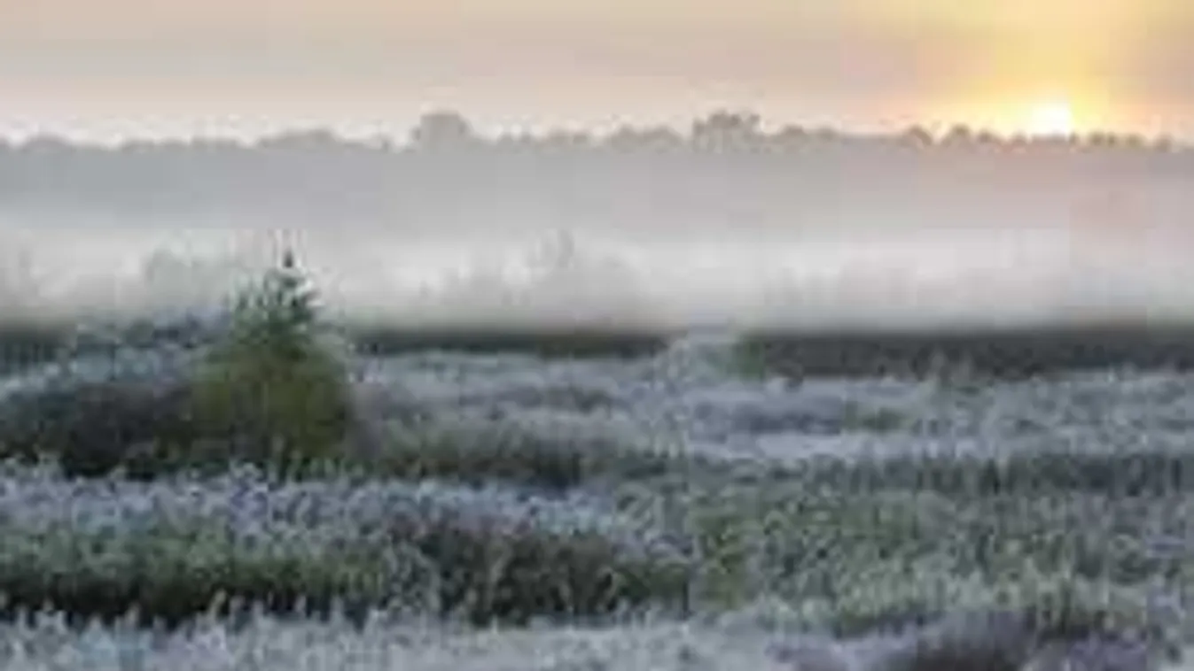 Megdöbbentő lesz a mai időjárás: már a vészjelzést is kiadták!