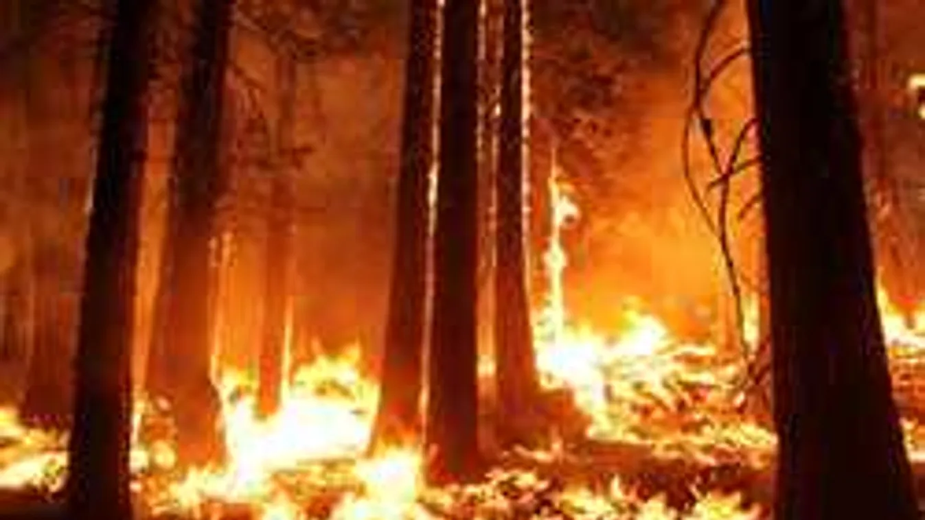 Szibériában 753 ezer hektárnyi erdőtüzet oltott el az orosz légierő