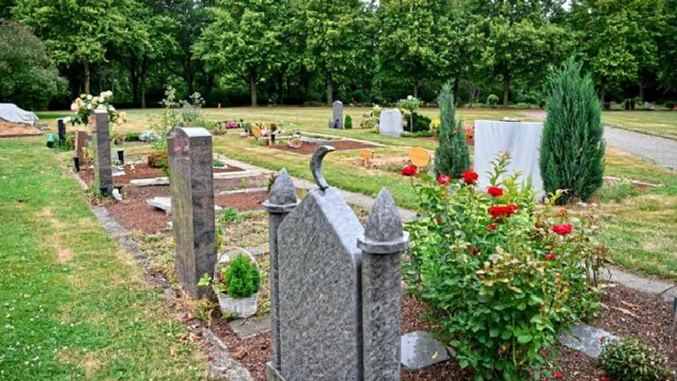 Vajon miért nem tarthat disznókat két német hentes?