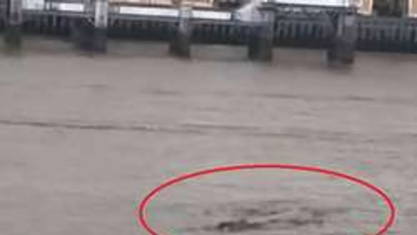 Ez már nem vicc: ismét felbukkant az új Loch Ness-i szörny!