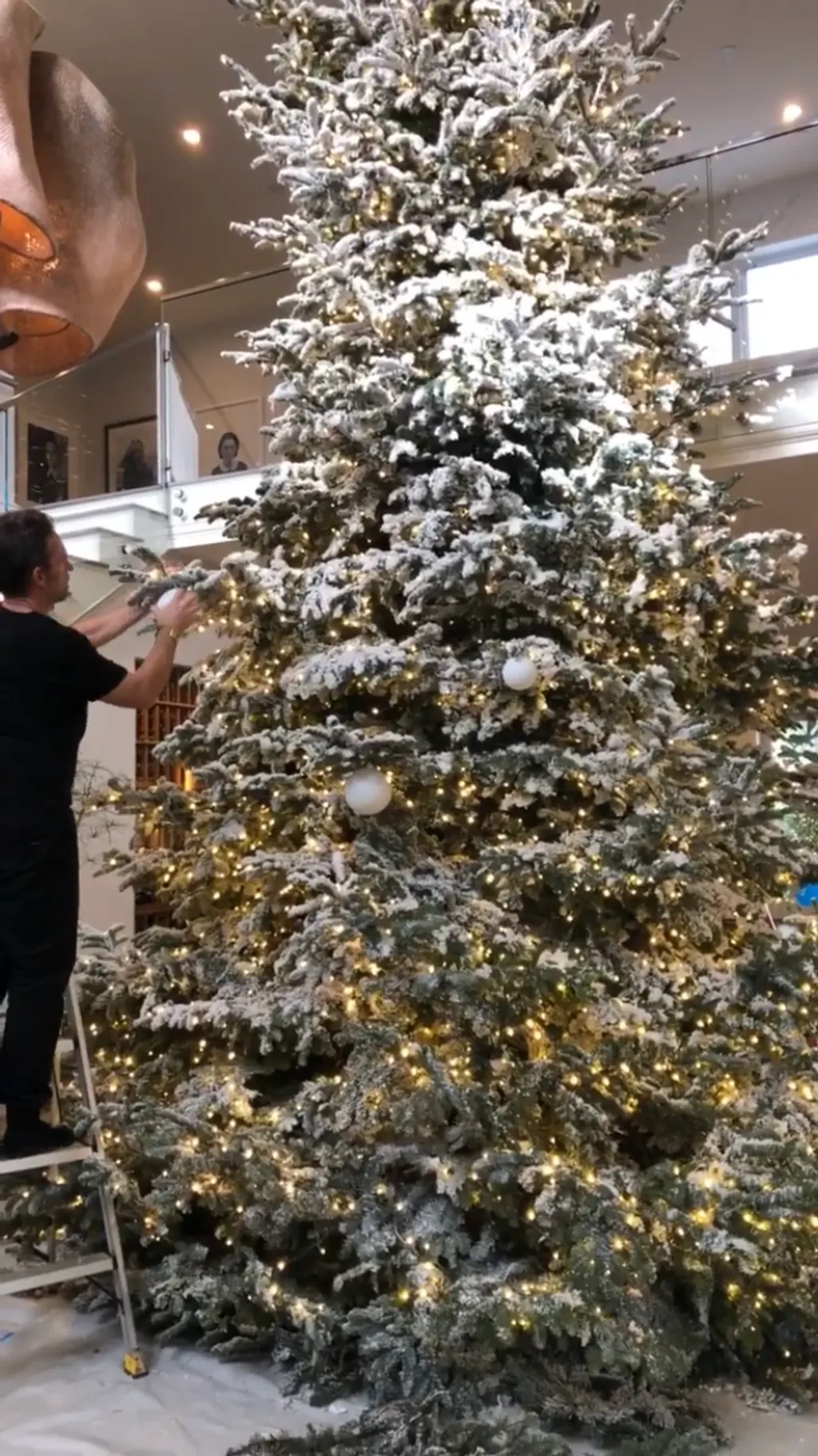 B443E8CC-5555-414E-9B1F-E332C1674BAD