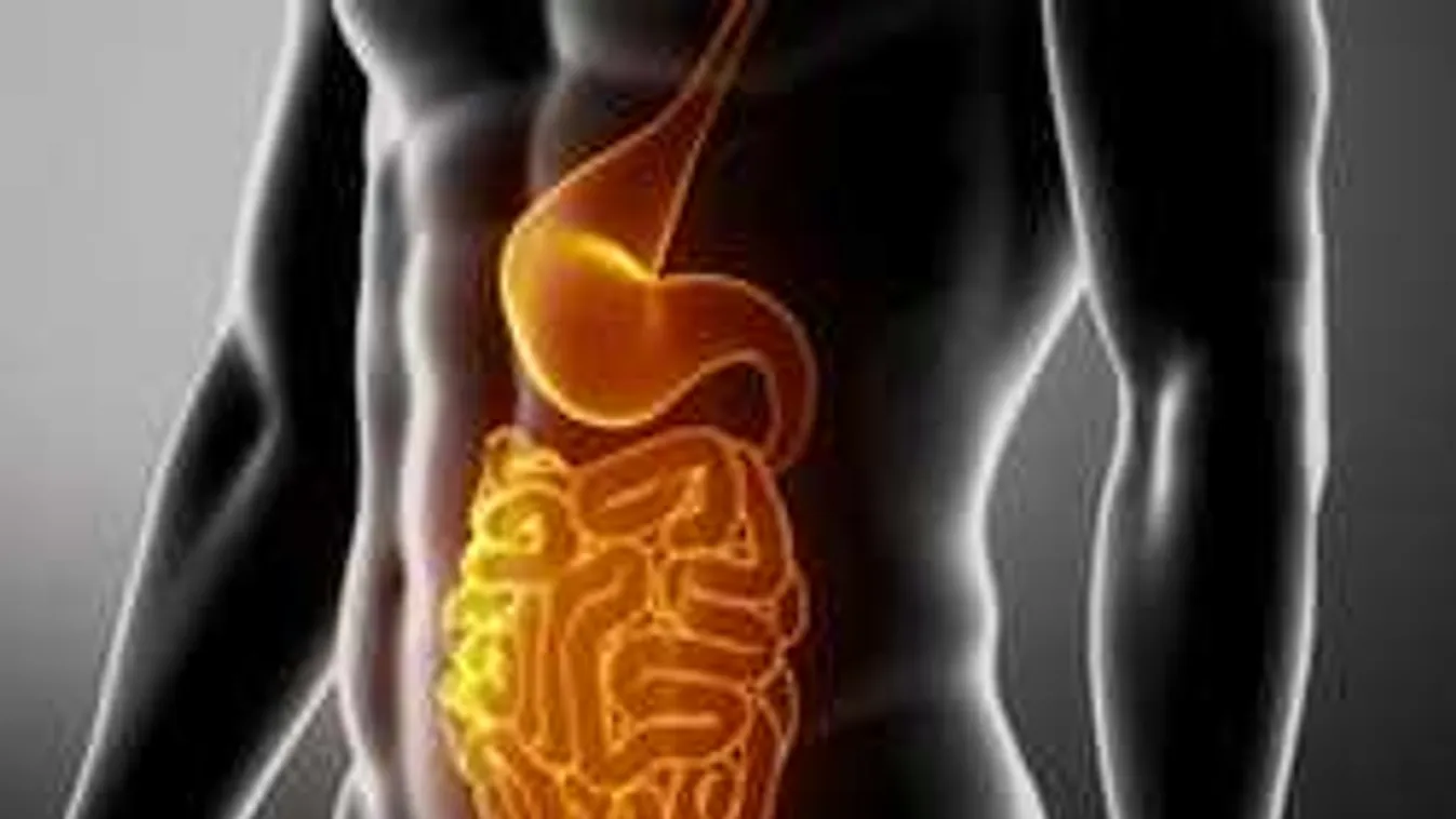 Adalékanyagok okozhatják a gyógyíthatatlan bélbetegséget