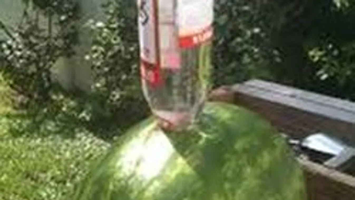 Ettől szédelegnek a mai fiatalok: Dinnye vodkával