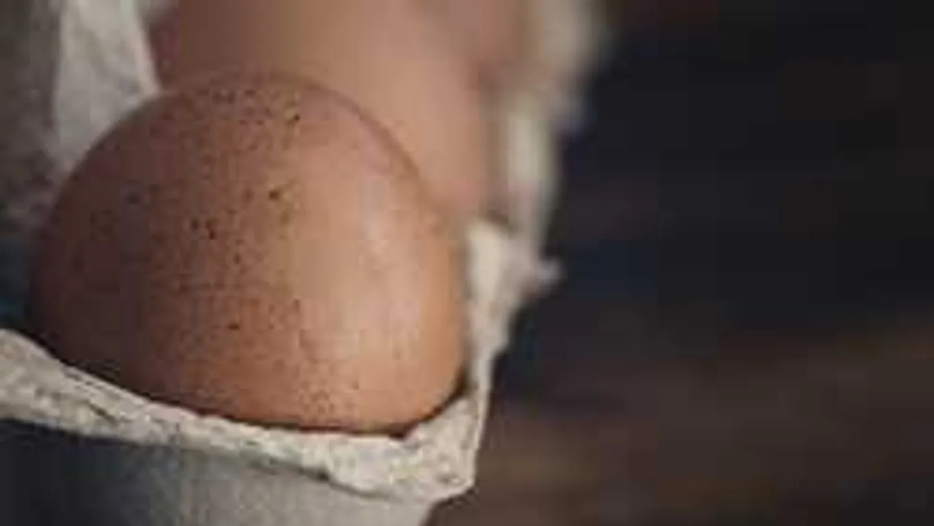 Sokkoló adatok a durván dráguló tojásról