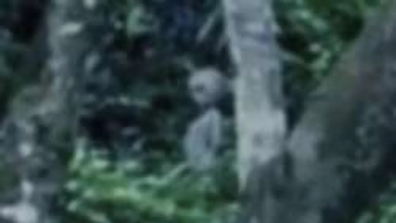 Földönkívülit videóztak a gyanútlan turisták a brazil dzsungelben