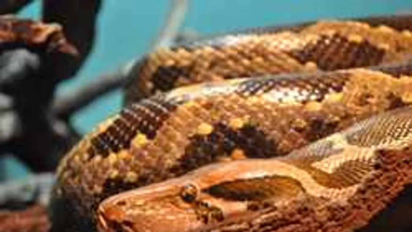 Rettenet, mi történt, amikor felnyitotta a motorháztetőt a férfi