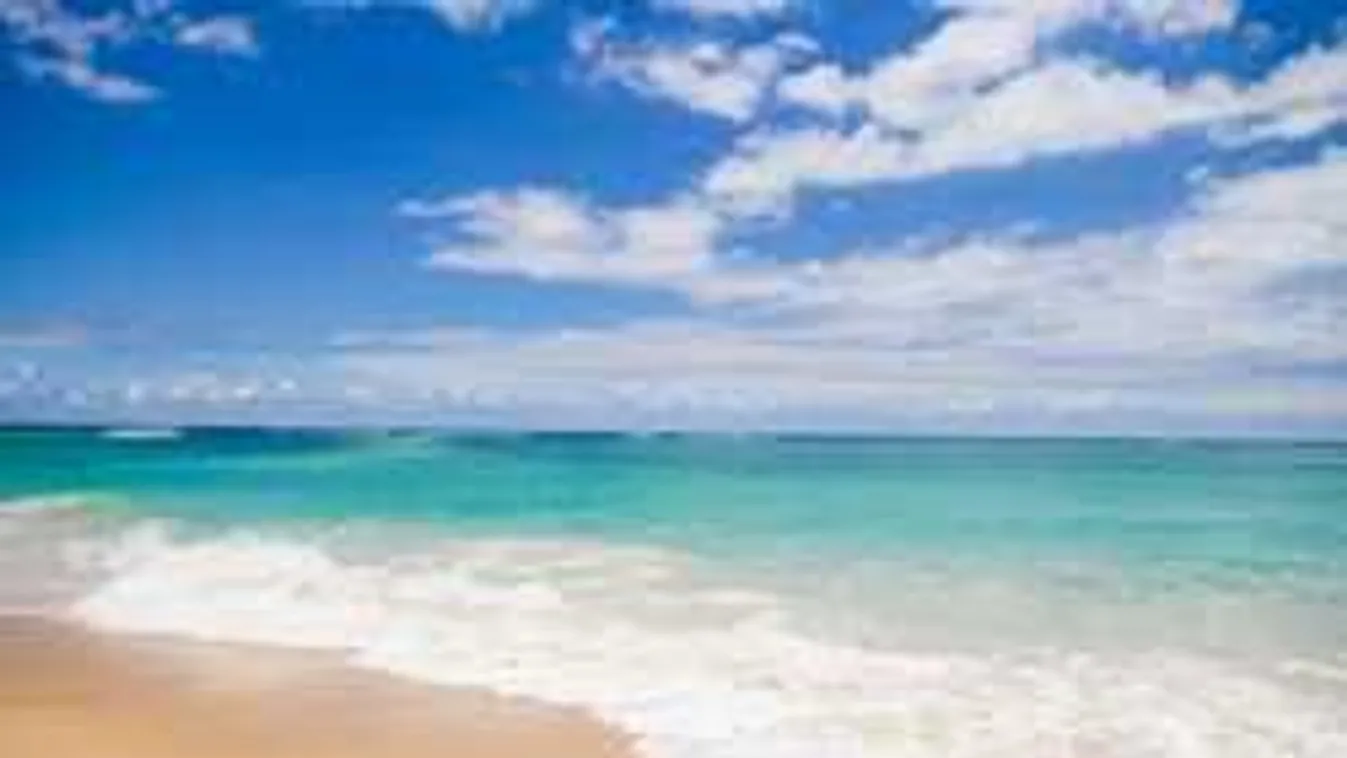 Elsápadtak a fürdőzők, szörnyű dolgot mosott partra a tenger