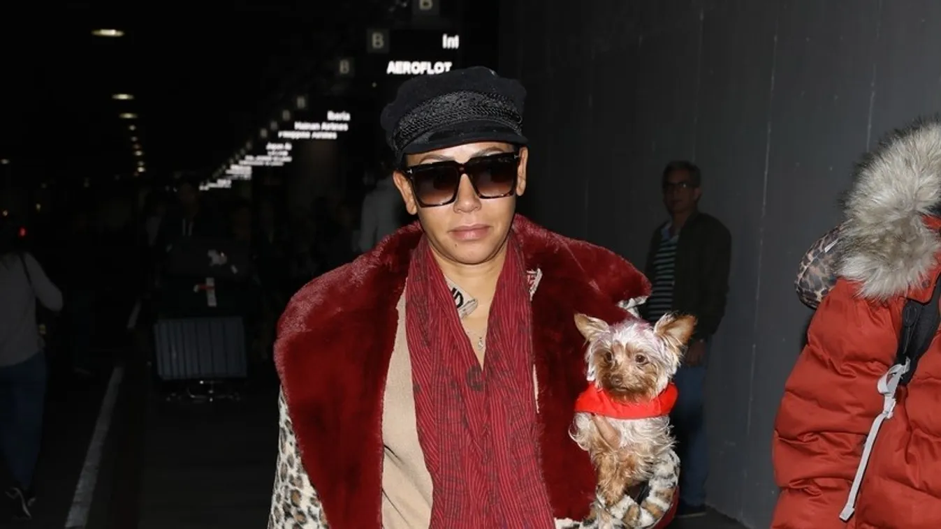 *PREMIUM-EXCLUSIVE* Mel B gets served at LAX airport for Gary Madatyan's case