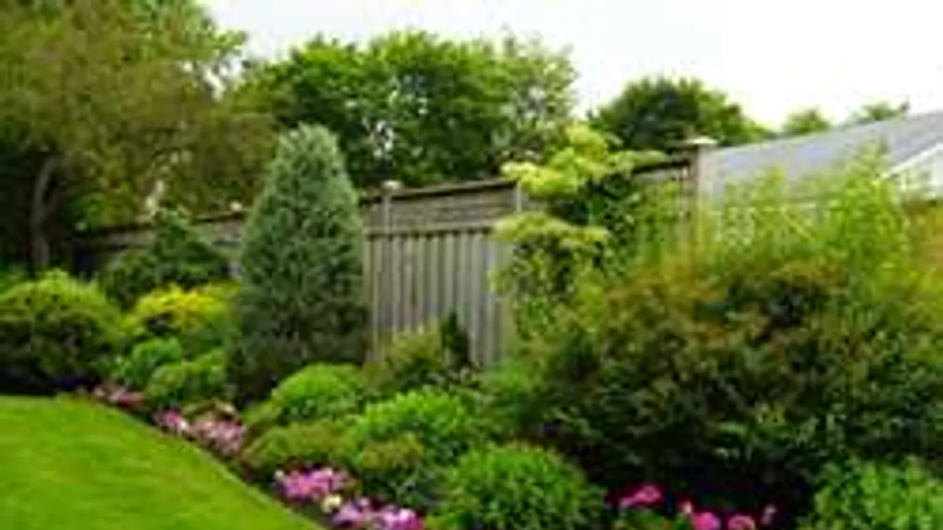 Meglepő: forró víztől lesz igazán nagyszerű a kerted! Így használd a módszert