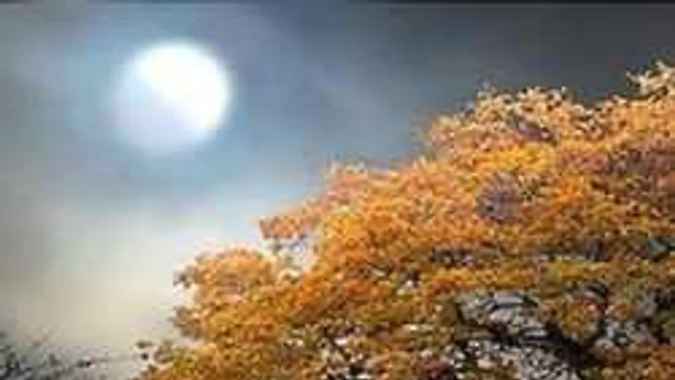 Érkezik a novemberi telihold, ezt hozza el neked már ma este