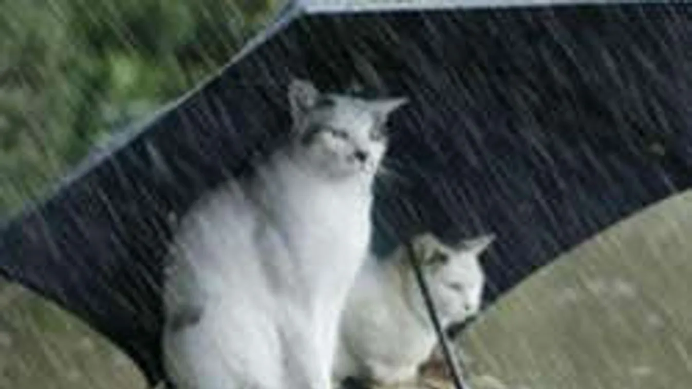 Nincs menekvés: ilyen kegyetlenül csap le a vihar kedden