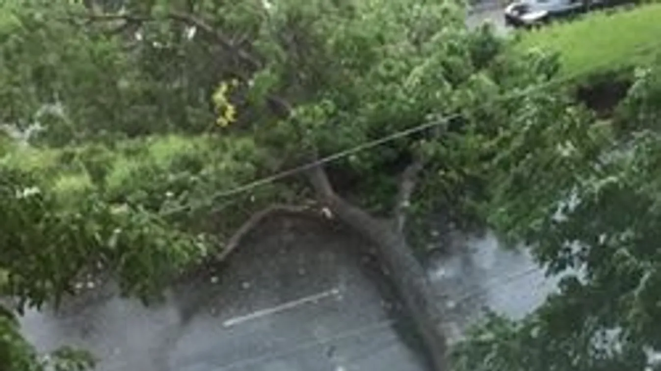 Özönvíz az Árkádban, leszakadt az iskola teteje- Videó