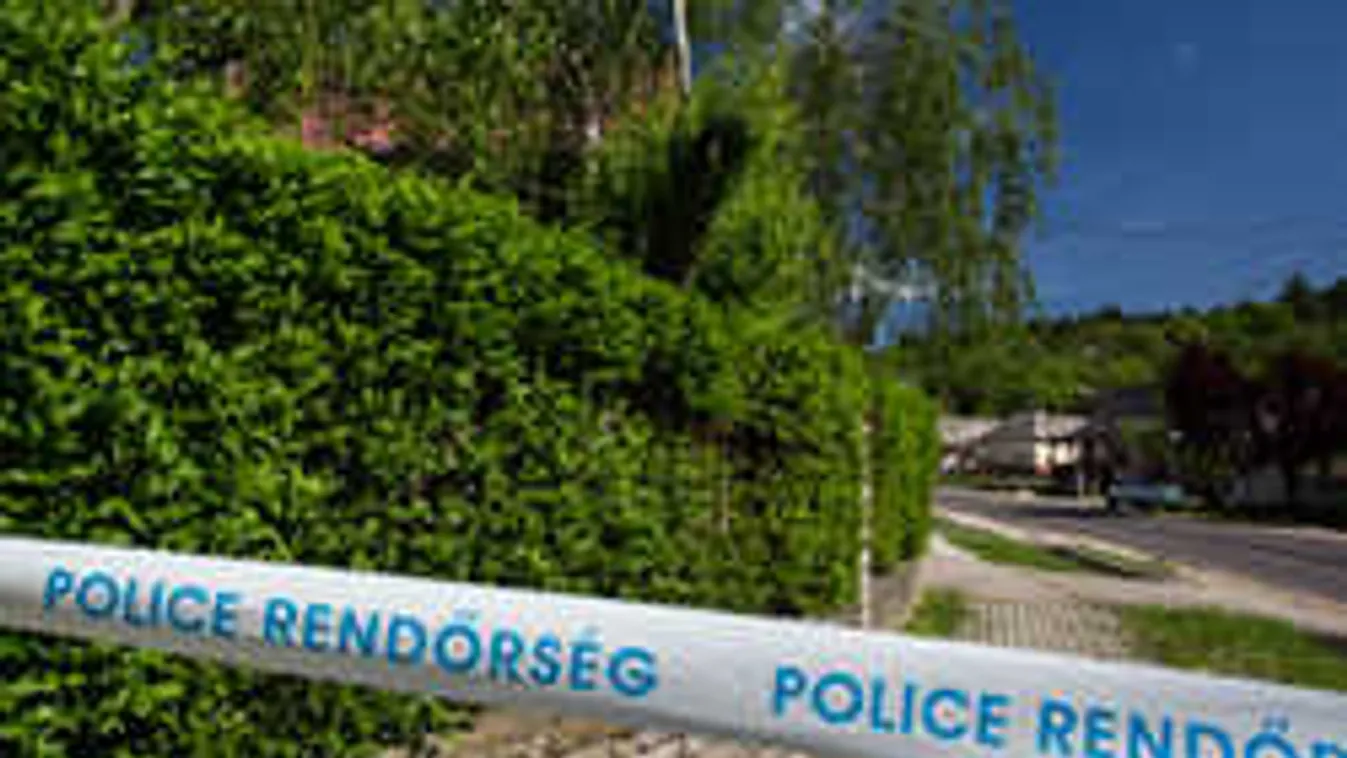 Rettenetes részletek derültek ki a dági gyilkosságról