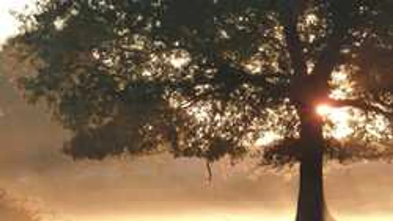 Bejelentették a meteorológusok: durva fordulatot vesz az időjárás