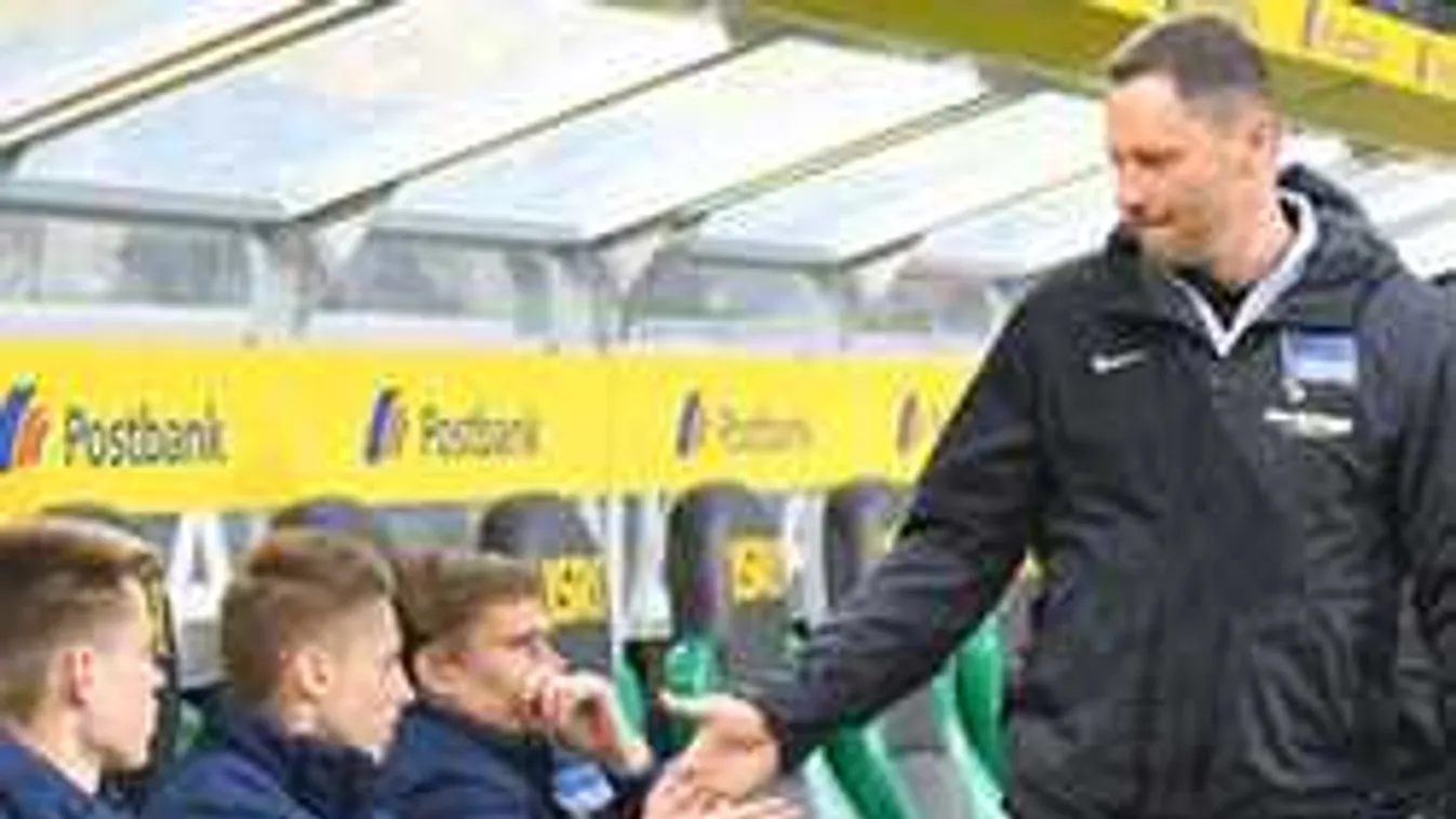 Micsoda? Börtönben köthet ki Dárdai Pál fia