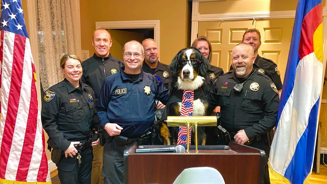 Egy kutyát választottak polgármesternek Amerikában!