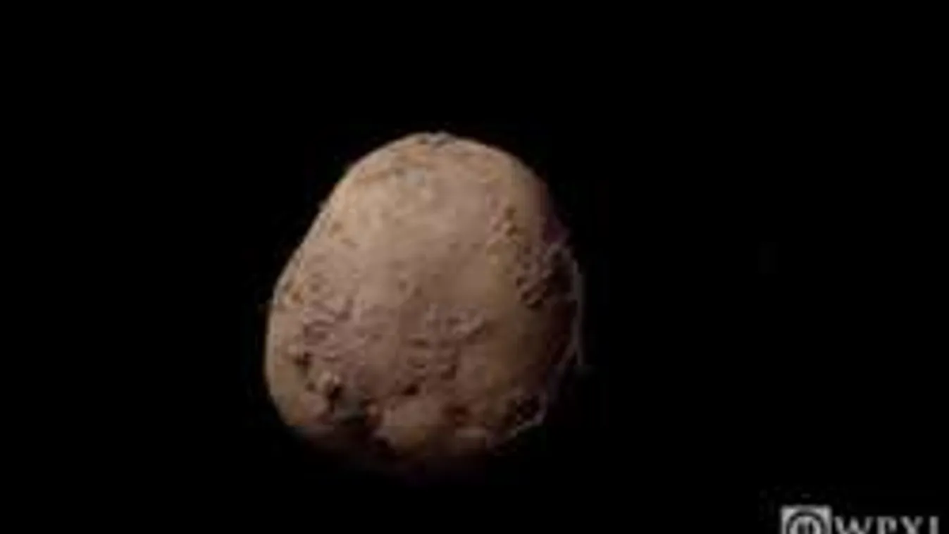 Lehidalsz, ha megtudod, mennyit fizettek a rücskös burgonya fotójáért!