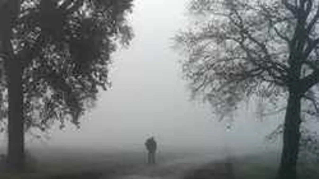 Megrázó részletek: legjobb barátjával végzett a bakonyi vadász