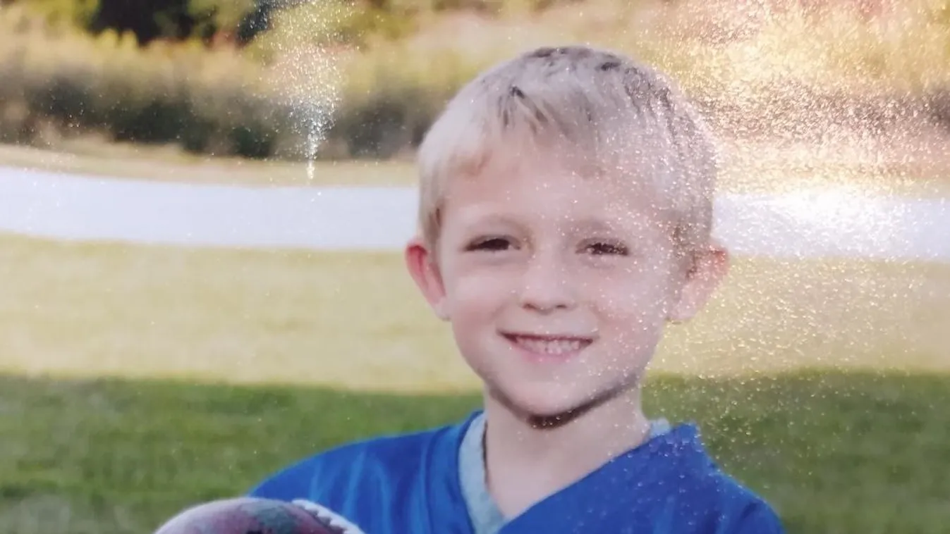 A nagymama a sikításra rohant be: szétmarcangolta a 6 éves unokát a kutya