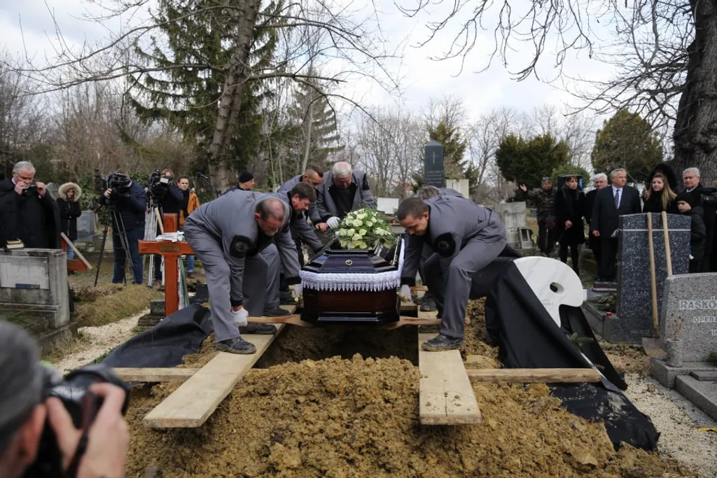 88278839_195061521801759_7672468992765722624_n