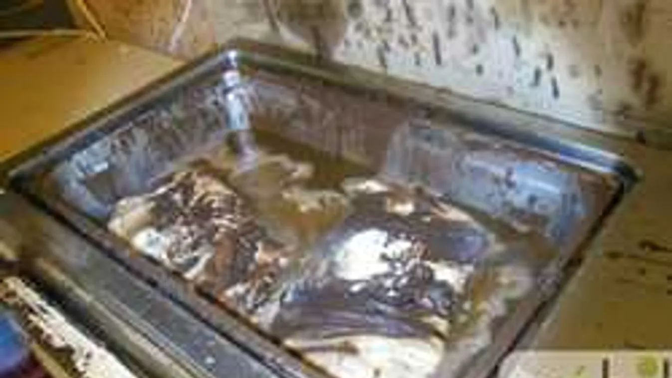 Horrorpékséget záratott be a belvárosban a Nébih