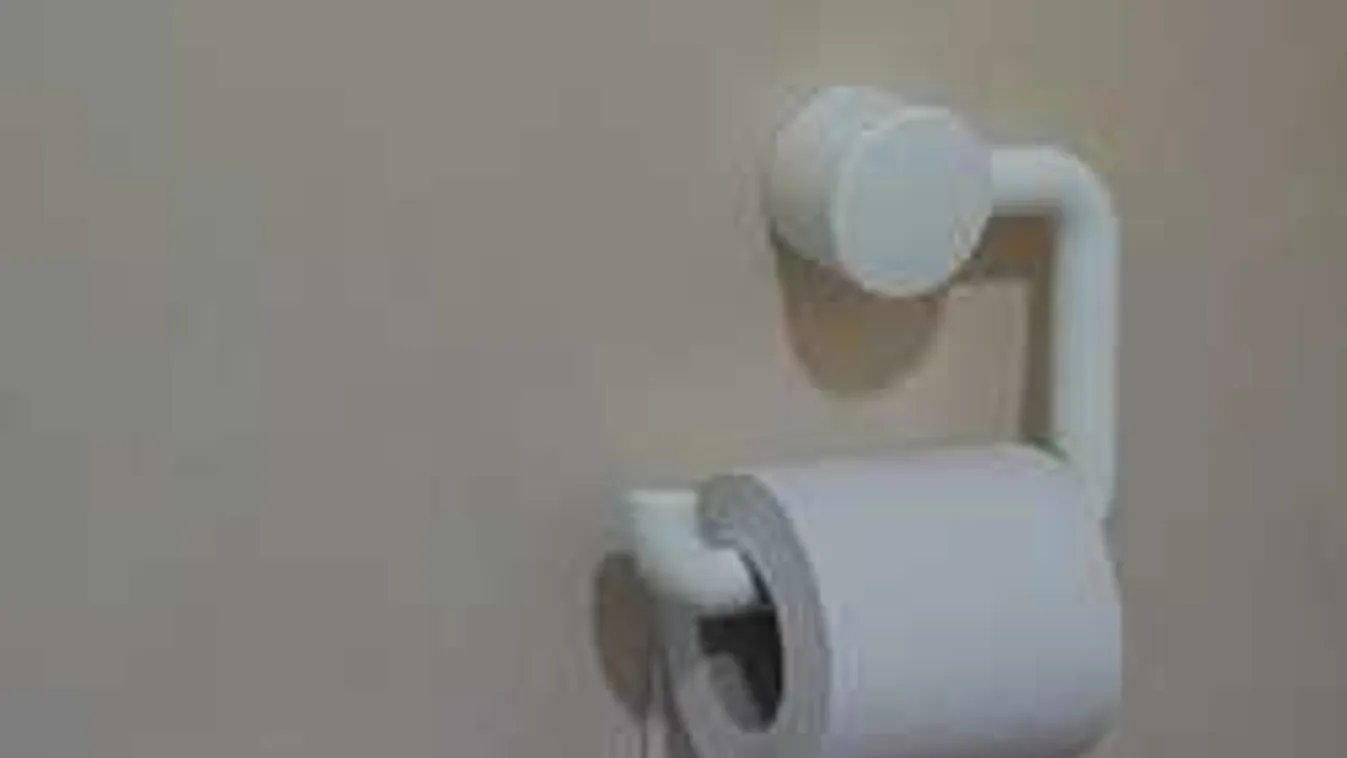Többé nincs vita: Így kell feltenni a tartóra a vécépapírt