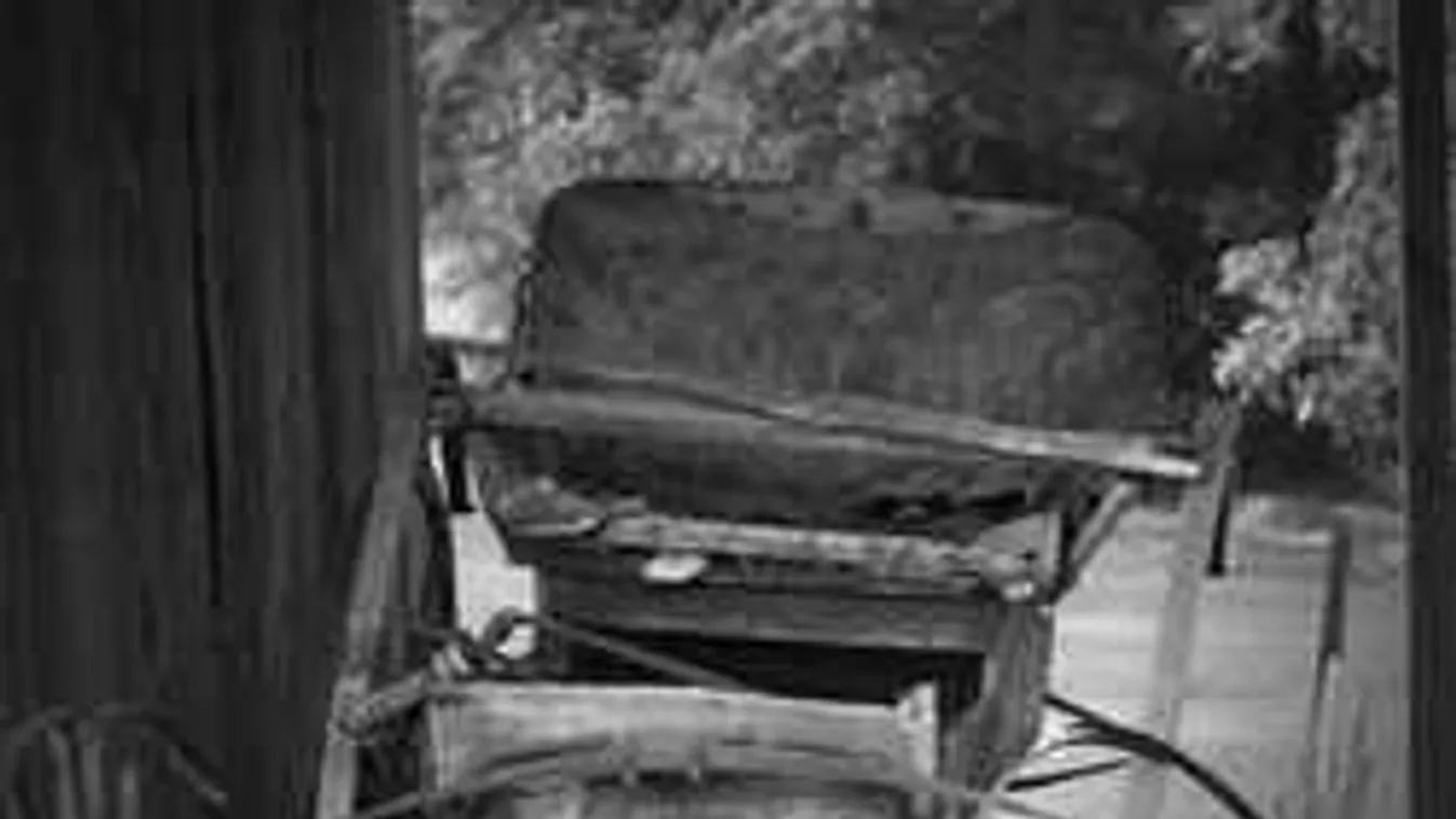 Óriási felfordulás a belvárosban, elszabadult lovaskocsi balesetezett