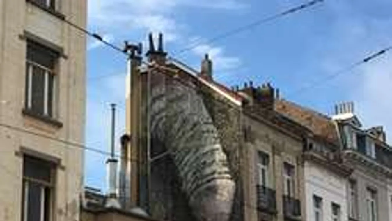 Megfejtették a gigantikus belga pénisz titkát