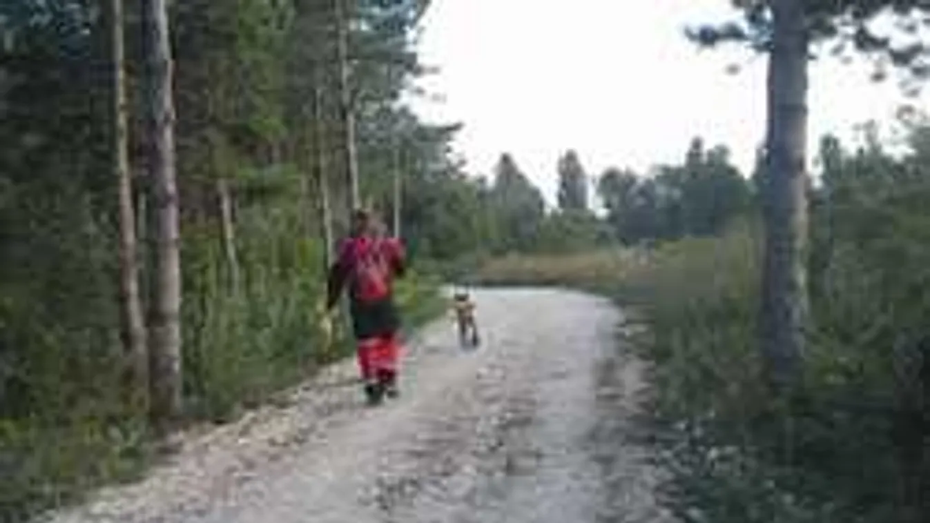 Rettegés Várpalotán: Holttestet találtak, sorozatgyilkosról suttognak