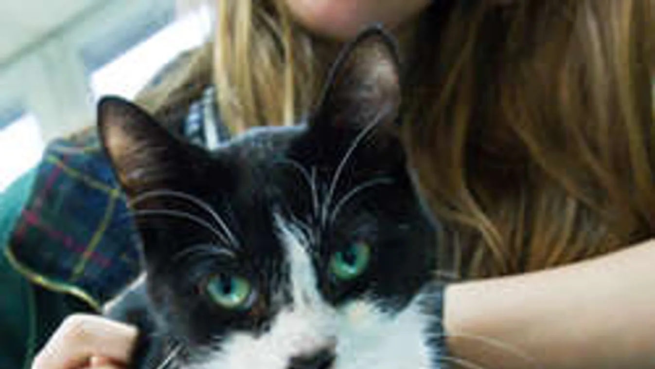 Az ünnep legédesebb fotója: hét év után otthon a cica