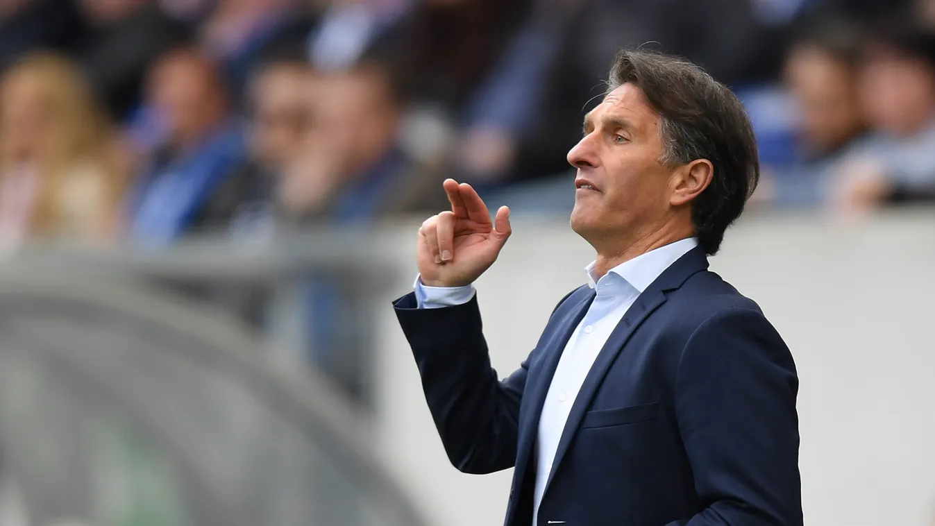 TSG 1899 Hoffenheim v VfL Wolfsburg - Bundesliga