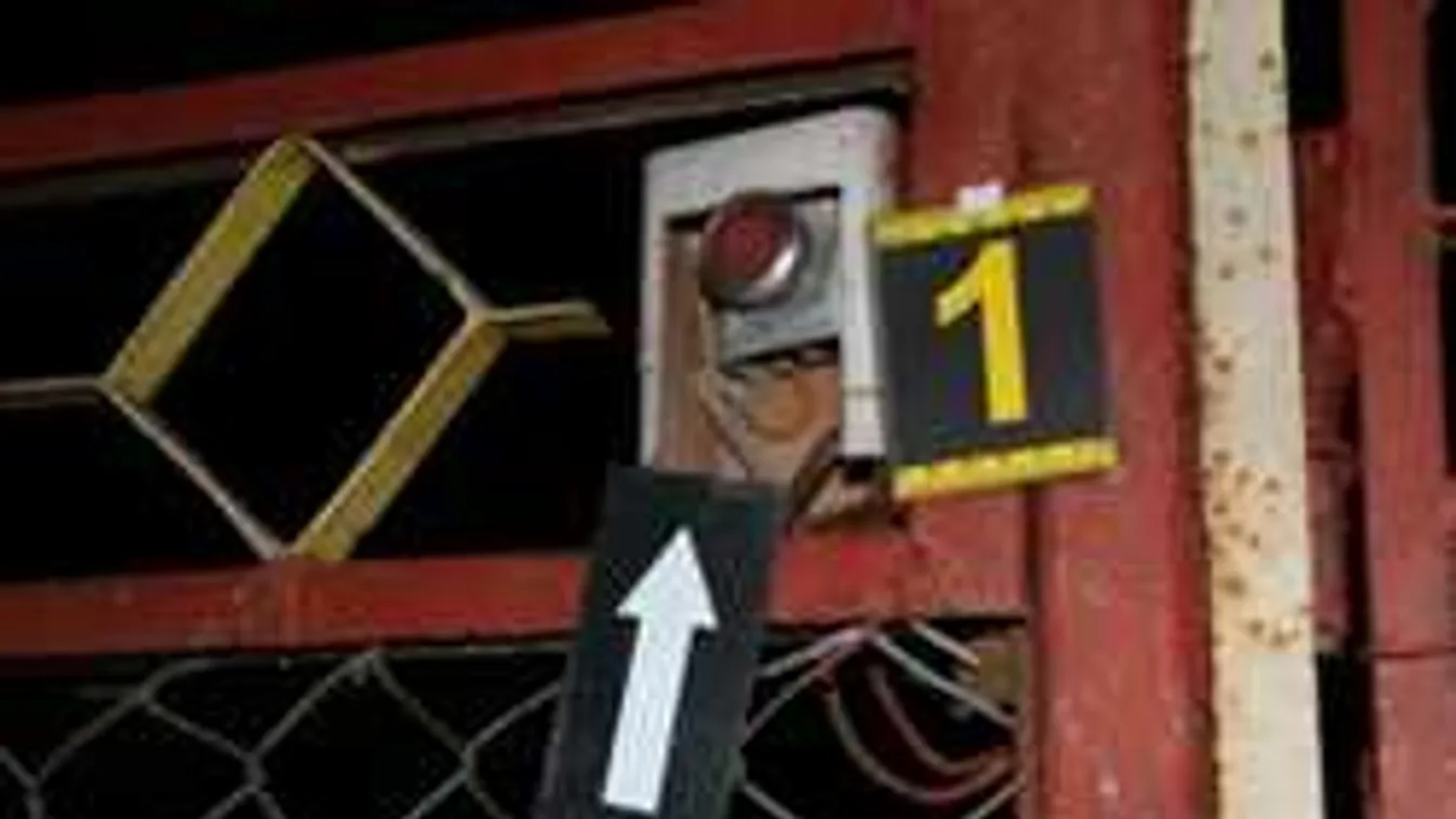 Bevallotta tettét: Ez a fiatal az idős magyar férfi kegyetlen gyilkosa