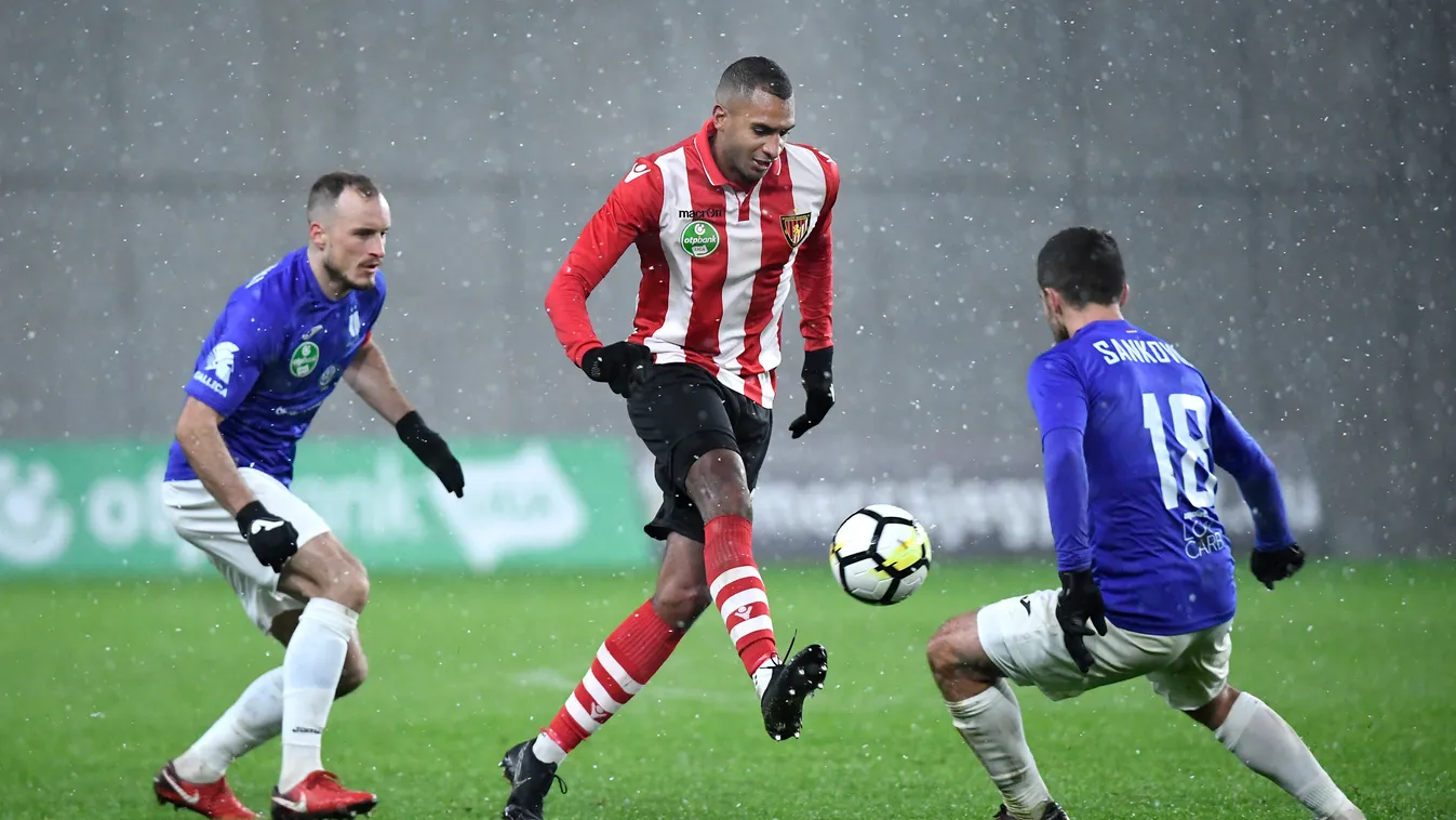 N'Gog, David ; Litauszki Róbert; Sankovic, Bojan