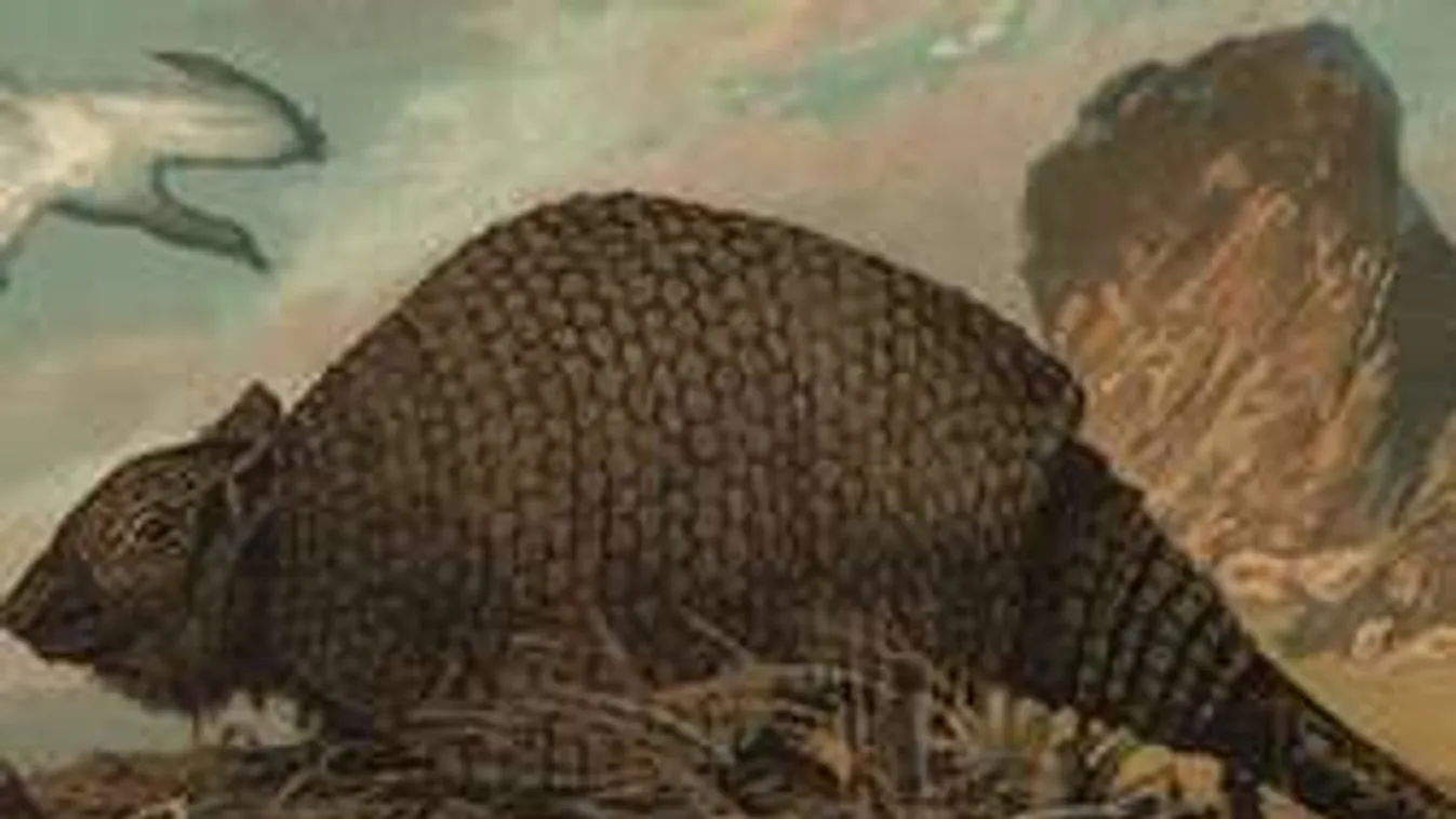 Buzogányfarkú őstatura bukkantak, akkora lehetett, mint egy VW