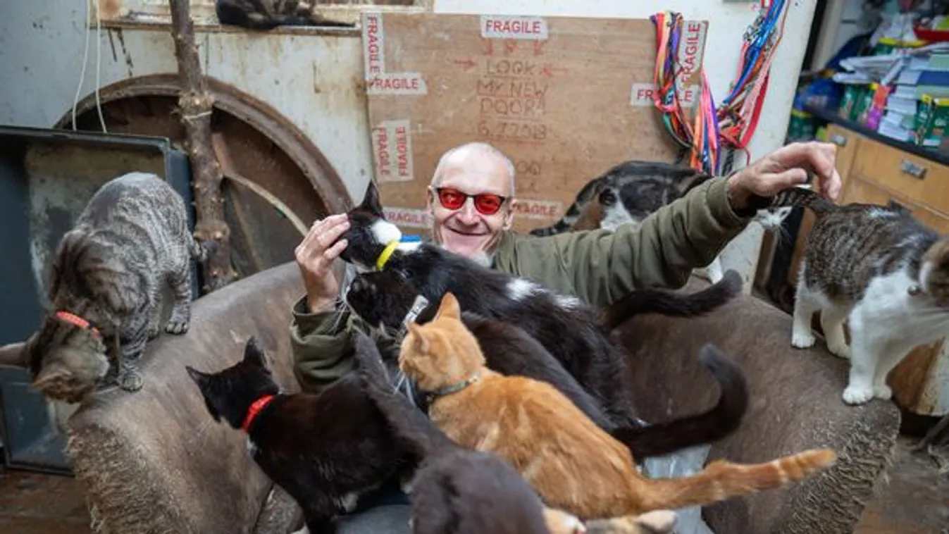 Nem fogod elhinni, mennyi négylábú albérlővel él együtt a férfi