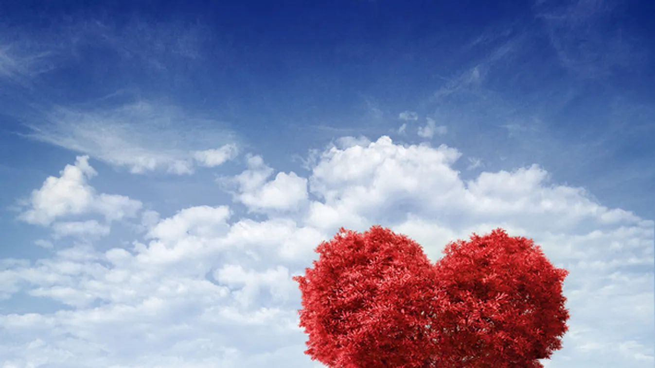 Megható: Rohammentővel érkezett a szerelem a záhonyi határhoz