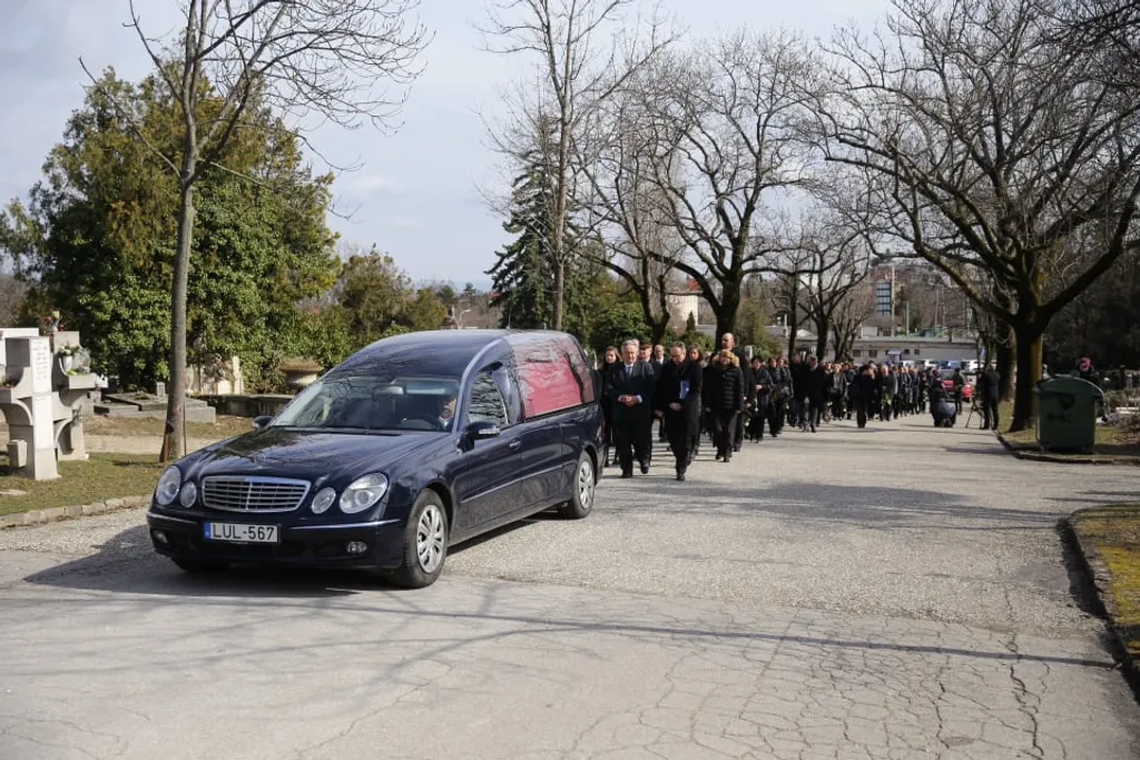 87370304_217477906069433_8226414654625153024_n