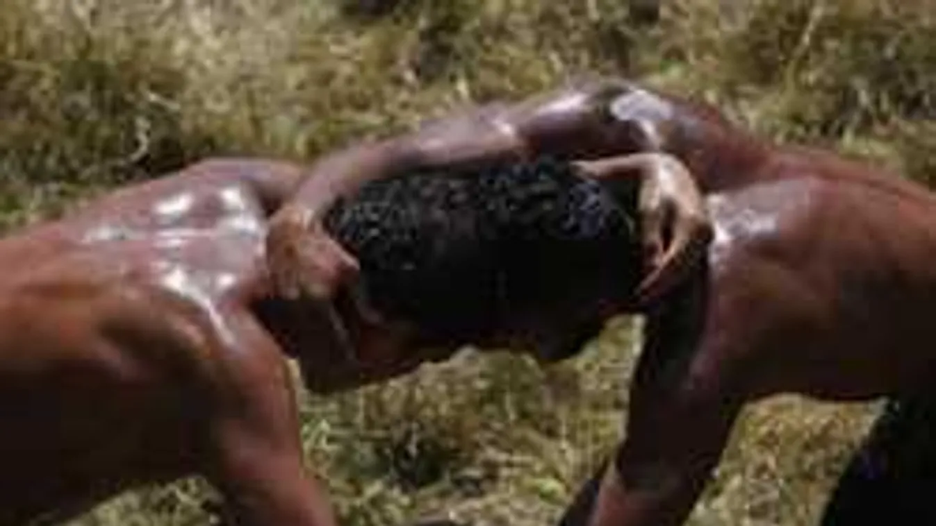 Borzasztó fordulat! Társa ölhette meg a magyar birkózót