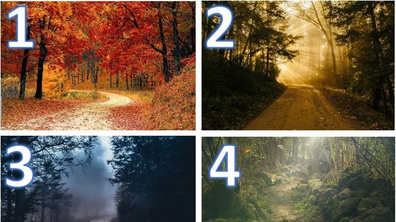 Melyik úton indulnál el az erdőbe? Választásod ezt árulja el rólad